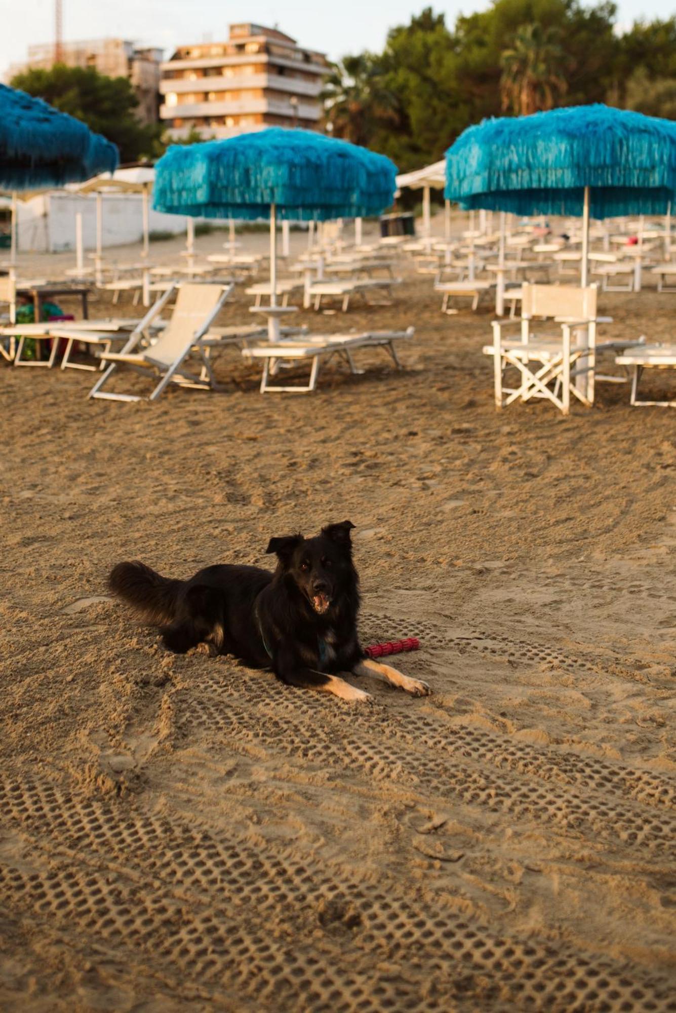 Hotel Antagos Montesilvano Marina Eksteriør bilde